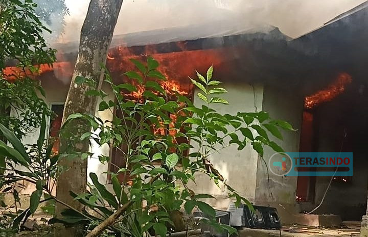 Warga Desa Adat Julah Tersulut Emosi  Bakar Rumah dan Kandang Sapi