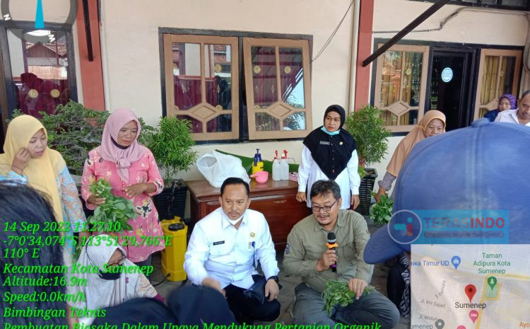  Tekan Biaya Produksi, DKPP Sumenep Kenalkan Inovasi Bercocok Tanam Dengan Teknik Biosaka