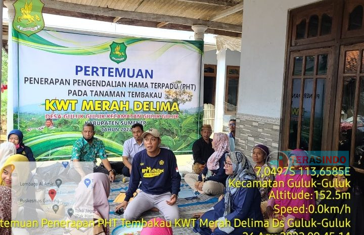 DKPP Sumenep Bersama Dinas Perkebunan Provinsi Jatim, Laksanakan kegiatan PHT Bagi Petani Guluk-guluk Sumenep
