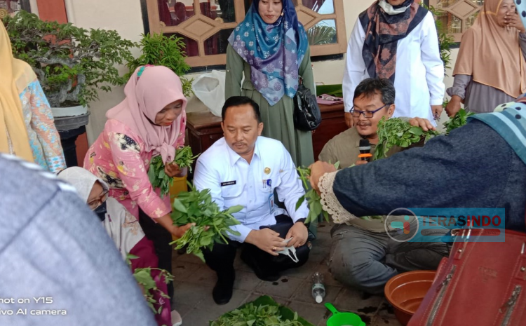  Tekan Biaya Produksi, DKPP Sumenep Kenalkan Inovasi Bercocok Tanam Dengan Teknik Biosaka
