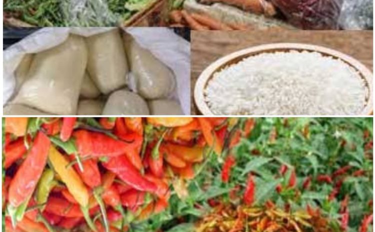  Ajak Masyarakat Turut Pantau Perkembangan Harga di Siskaperbapo, Kepala Diskop UMKM dan Perindag: Ada Beberapa Faktor Penyebapnya