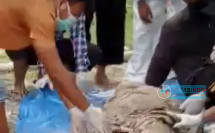  Sempat Menghilang, Seorang Perempuan Ditemukan Terkubur