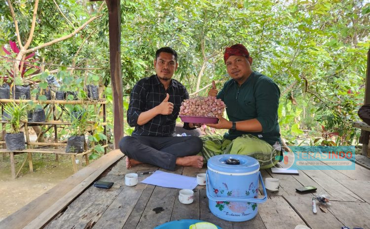  Inovasi Baru Gapoktancam Bindara Saod Pasongsongan Ciptakan Pupuk Organik Sakti, Berikut Bermacam Manfaatnya