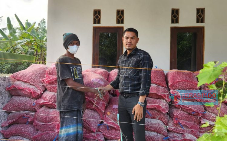  Distribusi Benih Bawang Merah UPLAND 2023 Kabupaten Sumenep