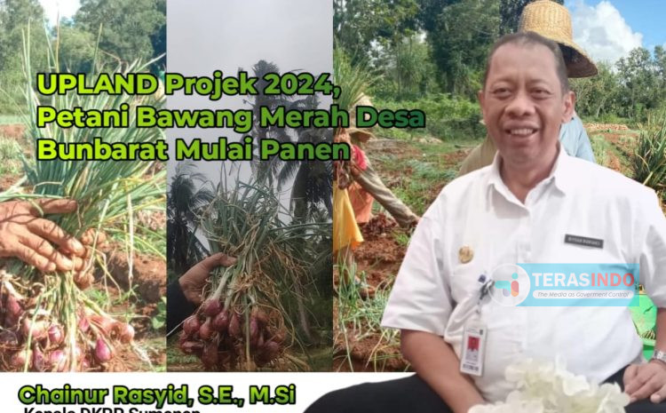  Proyek UPLAND 2024: Petani Bawang Merah Desa Bunbarat Mulai Panen
