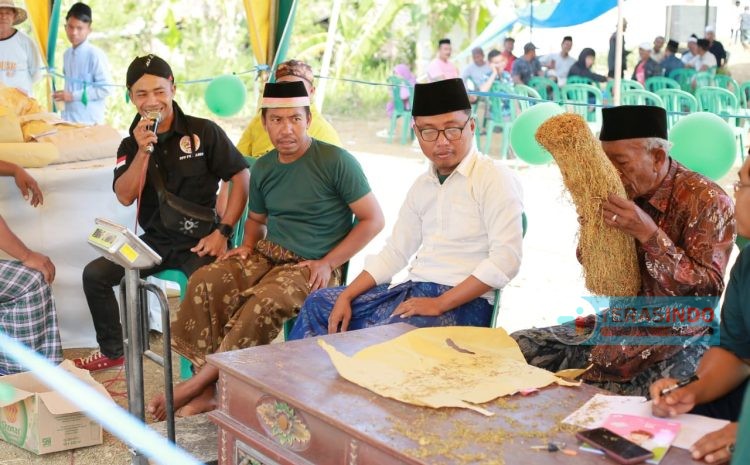  Halaqoh Tembakau dan Silaturrahmi Petani Warnai Pameran Tembakau di Desa Rajun Sumenep