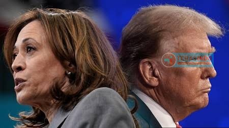 Kamala Harris Ungguli Donald Trump, Hasil Survei Sementara Pilpres Amerika