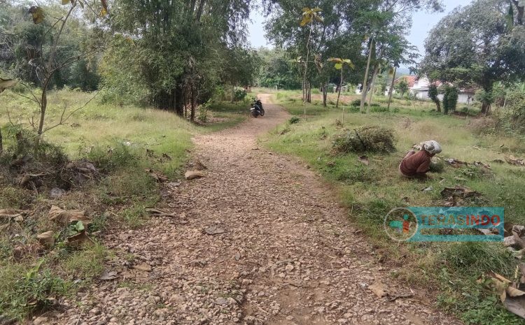  Masyarakat Keluhkan Jalan Desa Beringin Dasuk Rusak