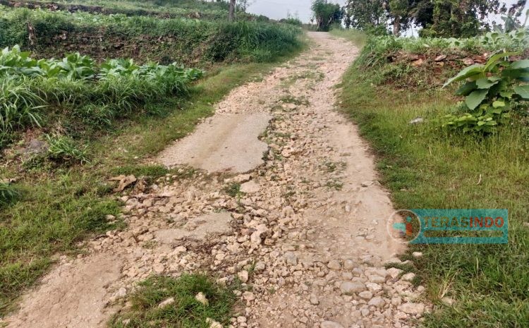  Desa Lebeng Timur Penuh Jalan Rusak, Dana Desa untuk Apa?