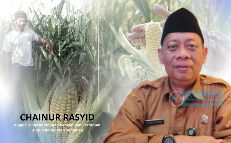  DKPP Sumenep  Akan Optimalisasi Program Ketahanan Pangan Melalui Petani Binaan di Kepulauan