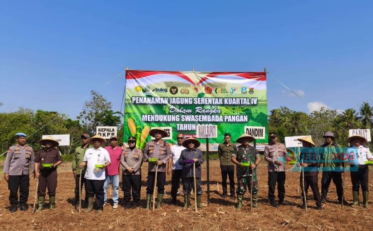  Kejar Target Swasembada Pangan Nasional,DKPP Sumenep Tanam Jagung Serentak