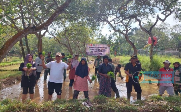  DKPP Sumenep Tingkatkan Produksi Pertanian Lewat Program Irigasi dan Pengairan