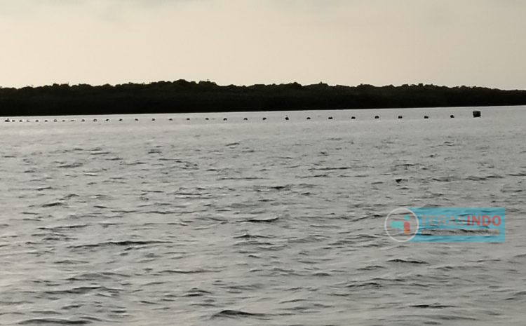  Pelampung Misterius Membentang Ditengah Laut Pulau Kecamatan Sapeken Sumenep