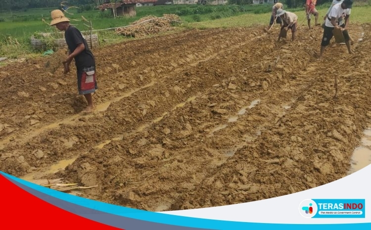  Klasifikasi Desil Dipertanyakan: Warga Rubaru Merasa Tak Sejahtera Tapi Masuk Desil Tinggi
