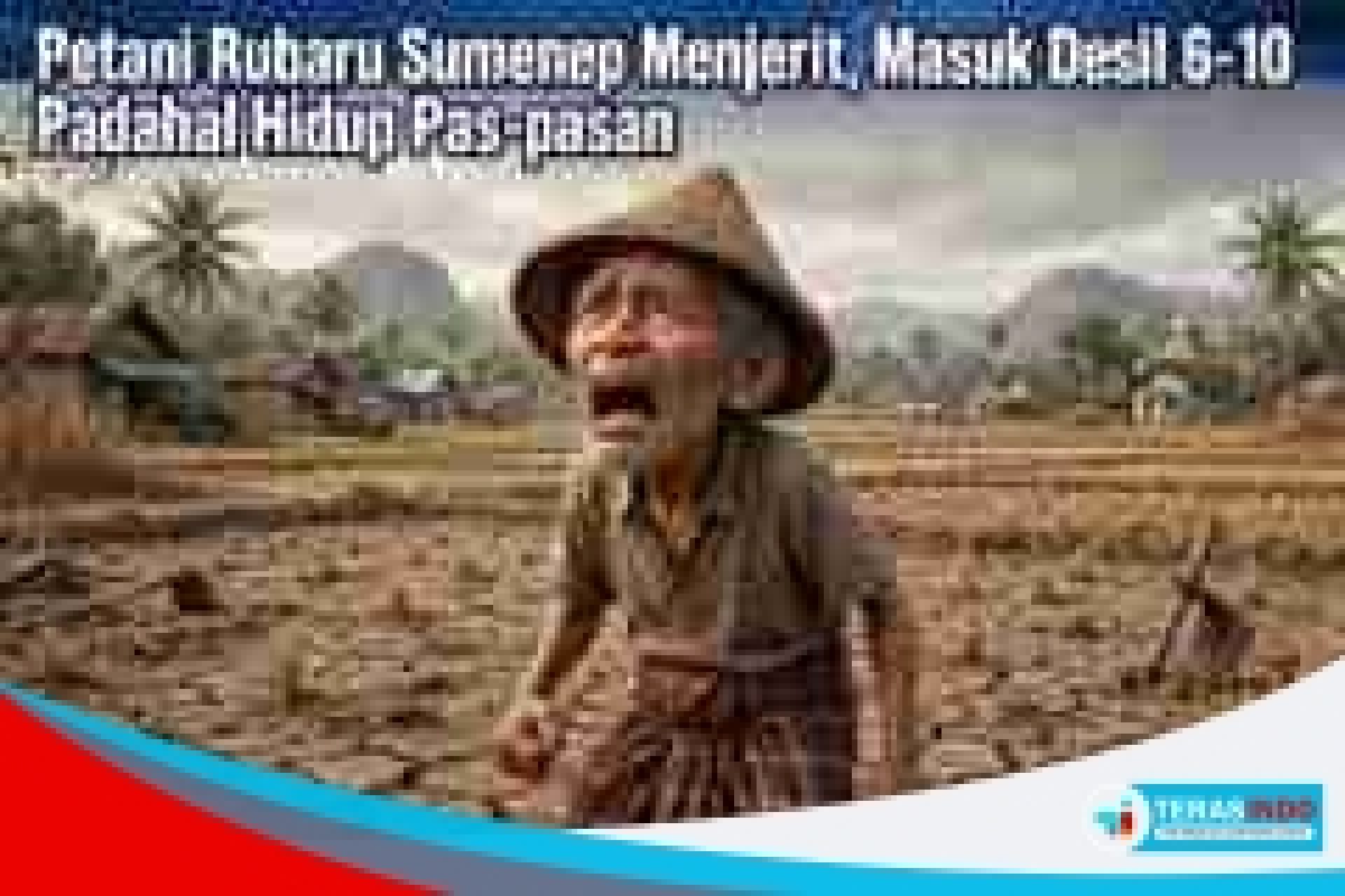 petani_rubaru_verylow